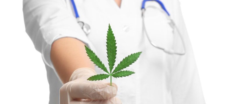 cbd pain relief